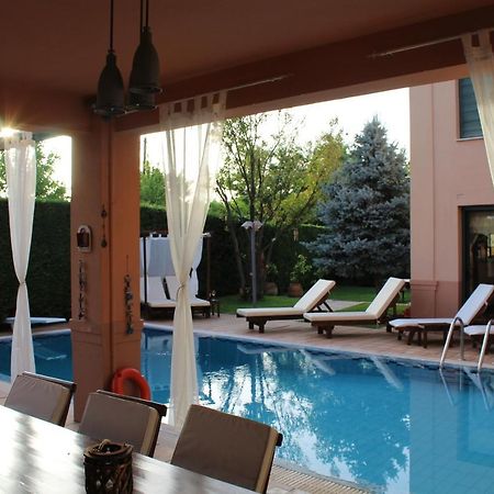 4-Seasons Pool Villa Near Meteora Tríkala Zewnętrze zdjęcie