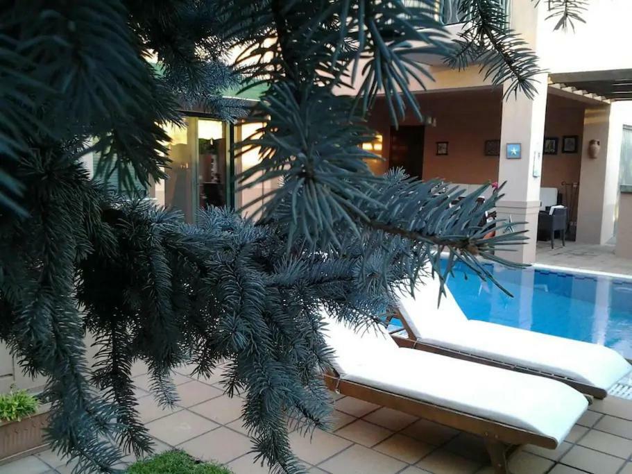 4-Seasons Pool Villa Near Meteora Tríkala Zewnętrze zdjęcie