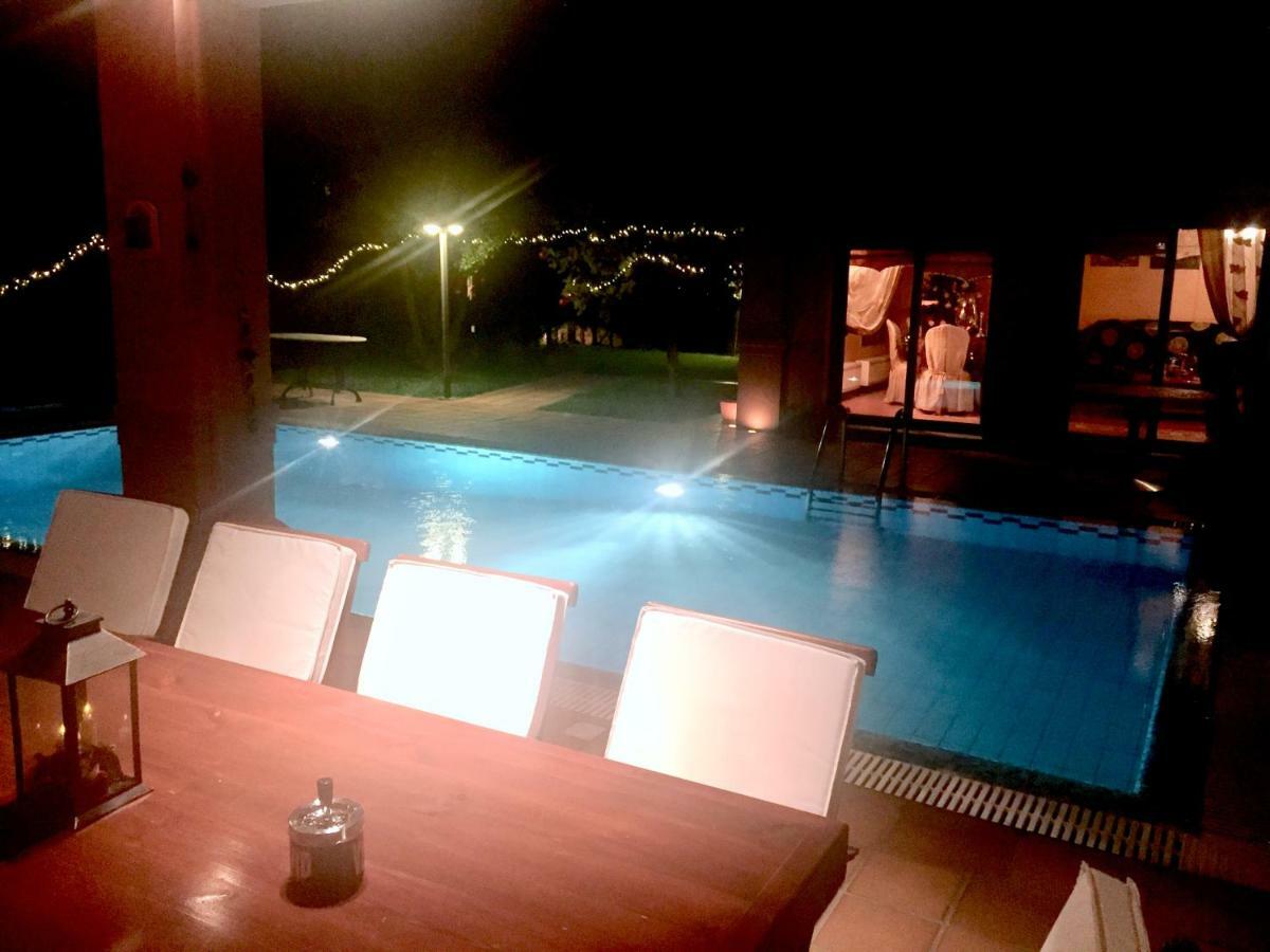 4-Seasons Pool Villa Near Meteora Tríkala Zewnętrze zdjęcie