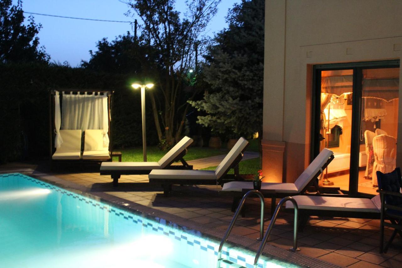 4-Seasons Pool Villa Near Meteora Tríkala Zewnętrze zdjęcie