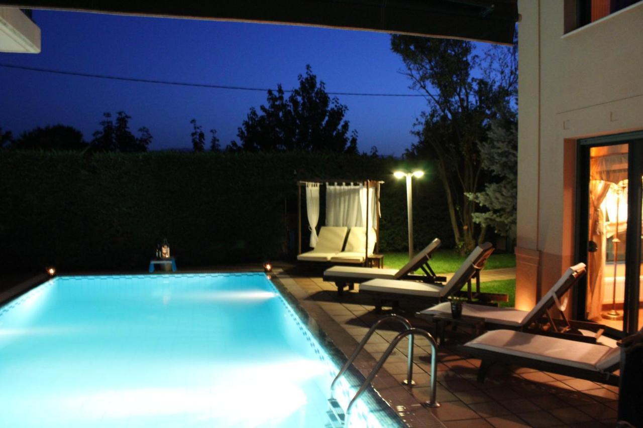 4-Seasons Pool Villa Near Meteora Tríkala Zewnętrze zdjęcie
